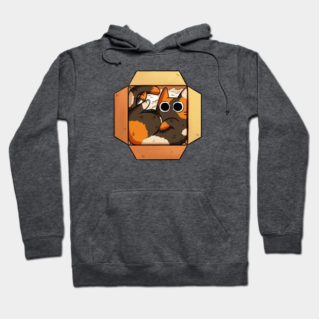 Box Cat Hoodie by Extra Ordinary Comics